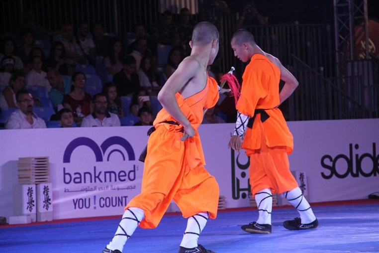 Martial Arts Festival